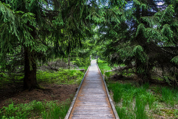 Fototapeta premium Boží Dar - Wanderweg