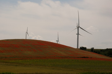 Turbine eoliche sulla collina di un campo fiorito in una giornata nuvolosa. Energia eolica