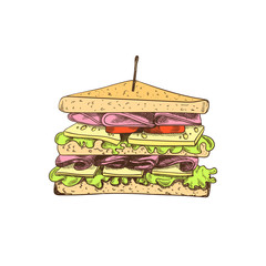Vector Colored Sandwich Drawing, Isolated on White Background Colorful Food Sketch.