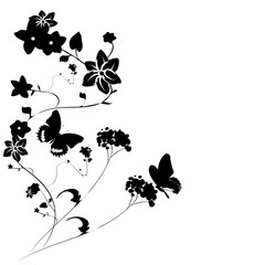 Naklejka premium black butterfly, isolated on a white