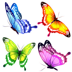 beautiful color butterflies,set, isolated  on a white