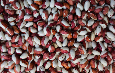 Red and white kidney beans background texture. Vegan and vegetarian photo. Ecological green food.