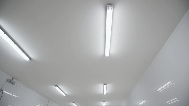 White high ceiling of milk contemporary factory with bright incandescent lamps attached to it