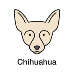 Chihuahua color icon