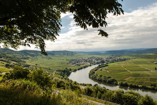 Mosel