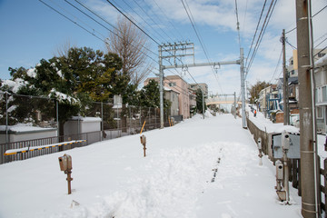 Fototapeta premium 大雪の記録 京成千葉線