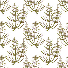 Colored Equisetum Pattern in Hand Drawn Style