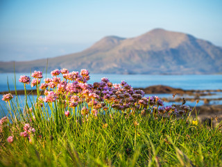 Berg Mweelrea bei Connemara in Donegal County