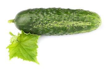 Fresh cucumber with leaf.Top view.