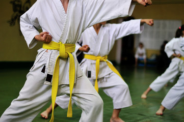 Kids of karate. Training and exam in karate. © Uladzimir