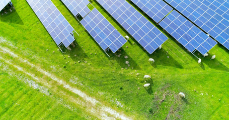champs de panneaux solaire dans une ferme solaire - 210002792