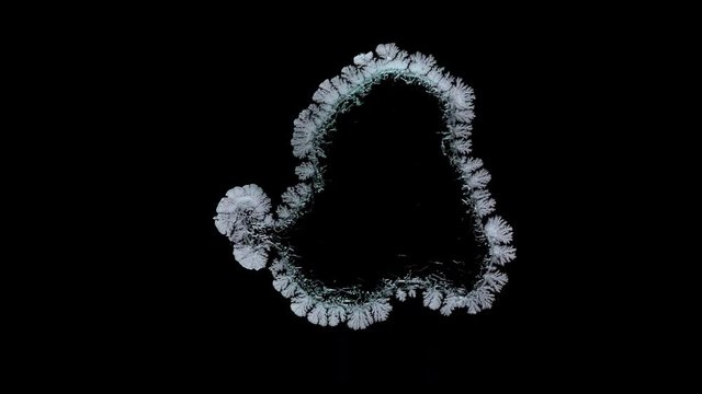 Drop drying with crystals growth.