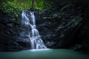 Obraz premium Waterfall in the forest