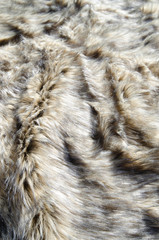 Abstract fake fur background.