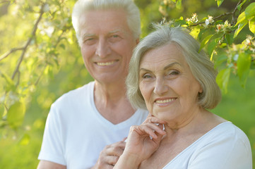 mature couple   in summer park