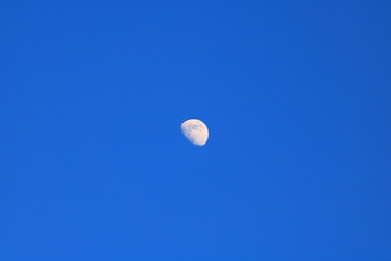 Moon