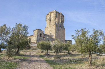Fototapeta na wymiar Belalcazar Castle between olive trees, Cordoba, Spain