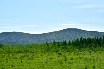 Fototapeta premium Landscape: in the background of the mountains, in the foreground-forest and green meadow.