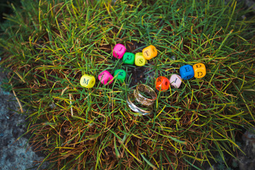 Wooden multicolored letters spelling just married with rings on grass