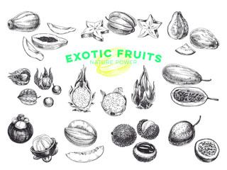 Beautiful vector hand drawn exotic fruits Illustrations set. 