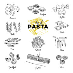 Beautiful vector hand drawn pasta Illustration.