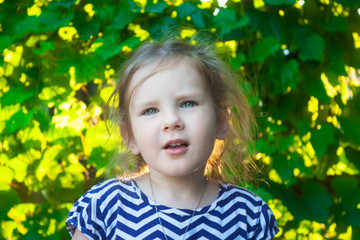 portrait of a cute child, the girls are face on a background of green grape leaves in the summer in the evening light