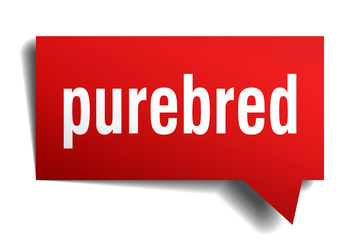 purebred red 3d speech bubble