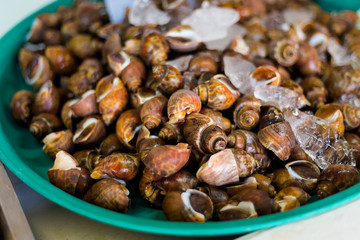 Thai fresh mussels on market