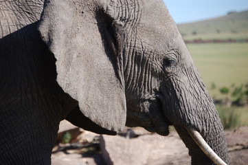 Kenya