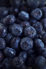 fresh American blueberry