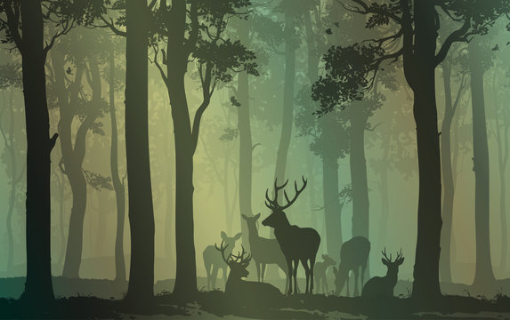 natural background with forest silhouette with herd of deer