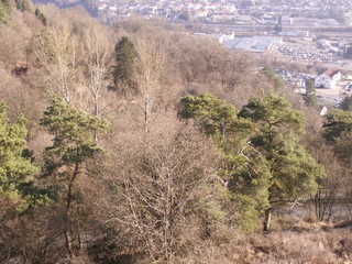 KONICA MINOLTA DIGITAL CAMERA