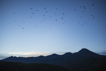 Fototapeta premium Sunrise Birds In Flight Over Mountains