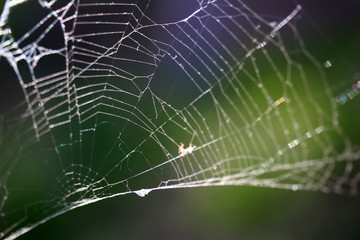 abstract spider web background