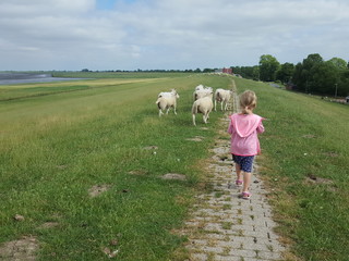 Deichspaziergang