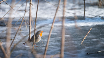 He was close enought to fear my shutter