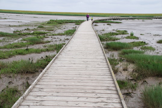 Langwarder Groden
