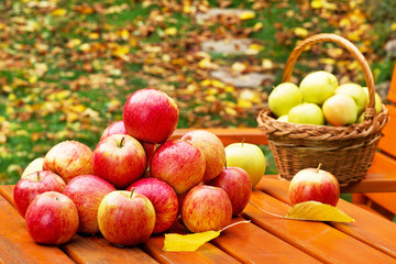 Red Apples with Basket on the Garden Table