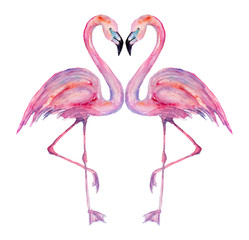 Watercolor flamingos.