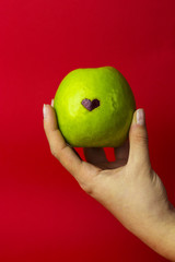 green apple in hand, fruit in hands