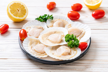 fresh shell scallop