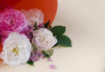 Live roses flowers frame. Beautiful floral background. Card Template to spring holidays with creative space for text.
