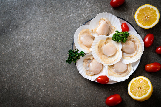 fresh shell scallop