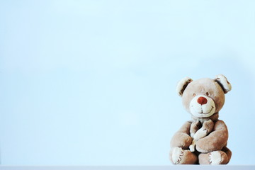 teddy bear looking at camera