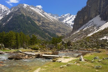 Spring in mountains