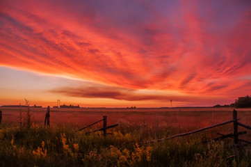 beautiful sunset in the countryside. Spaciousness of fields, flowering of flowers, old fence, red clouds.
