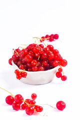 Summer Fruit Red currant berry in ceramic cup on white background with copy space