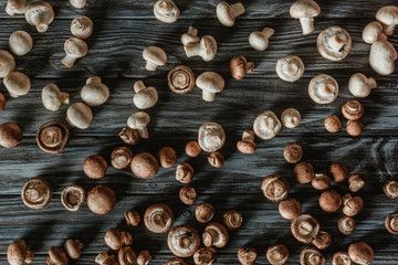 top view of white and brown champignon mushrooms on wooden surface