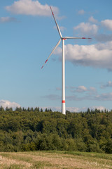 Eine Windkraftanlage steht in einem Wal und sorgt f&uuml;r &Ouml;kostrom
