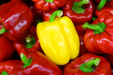 Bell pepper